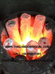 BBQ Charcoal Briquette burning